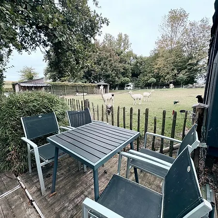 La Roulotte De Papou - 2 Adultes & 1 Enfant Landhuis Frasnes-lez-Anvaing