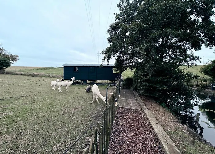 La Roulotte De Papou - 2 Adultes&1 Enfant *