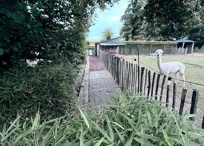 La Roulotte De Papou - 2 Adultes&1 Enfant *